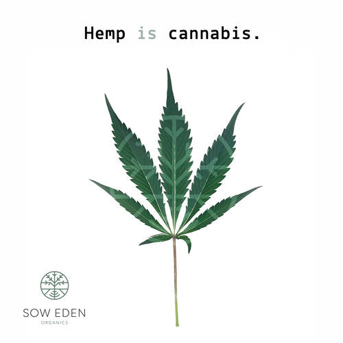 Cannabinoid wellness - cannabinoid Cannabinoid wellness - cannabinoid