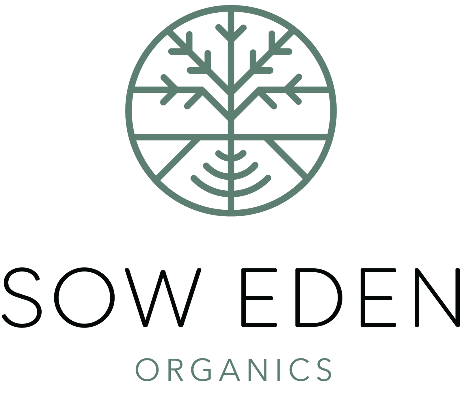 Full Spectrum CBD: The Whole Story