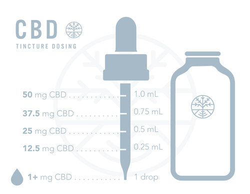 How Much CBD Should I Take and How Fast Will I Feel the Effects? A How to Guide by Lindsey