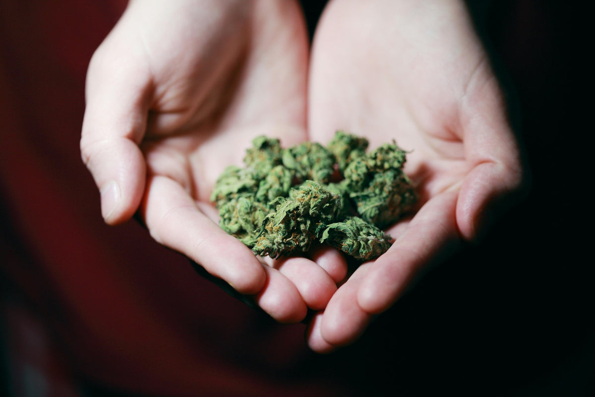 Understanding Delta-8 THC: A Milder Alternative to Marijuana? - Sow Eden