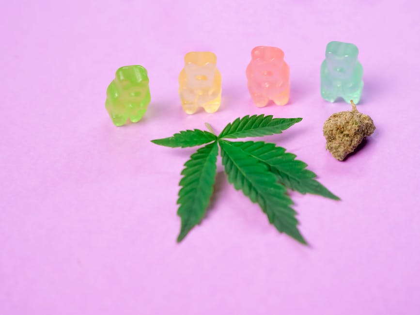 Gummy Showdown: CBG and CBN Gummies Compared