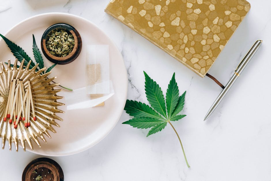 CBG and THC Gummies: A Comparative Guide